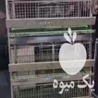 فروش قفس 5 طبقه بلدرچین در اصفهان در گروه تجهیزات مرغداری در یکمیوه