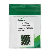 قیمت خرید بذر خیار کیهان در کرج در گروه خرید و فروش بذر خیار در یکمیوه