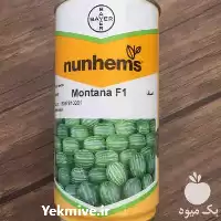 عرضه و فروش بذر هندوانه مونتانا در بیرجند در گروه خرید و فروش بذر هندوانه در یکمیوه