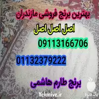 خرید برنج طارم هاشمی میلاد بابلی در ساری در گروه خرید و فروش برنج در یکمیوه