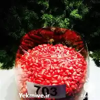 ذرت   خرید بذر ذرت  در سنندج در گروه خرید و فروش بذر ذرت در یکمیوه