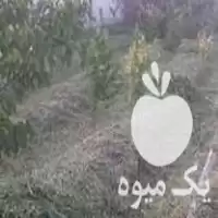 علف زنی و باغبانی در گروه خدمات باغبانی در یکمیوه