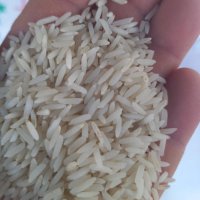 برنج هاشمی درجه 1 در چاف و چمخاله
