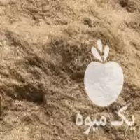 قیمت خرید کاه گندم امسال تمیز در گروه خوراک دام و طیور در یکمیوه