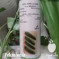 خرید بذر خیار رویال سمینیس مناسب در تبریز در گروه خرید و فروش بذر خیار در یکمیوه