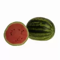 بذر هندوانه فروش در تهران در گروه خرید و فروش بذر هندوانه در یکمیوه