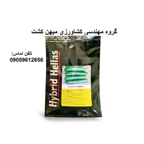 خرید بذر خیار مرغوب ساندا در گروه خرید و فروش بذر خیار در یکمیوه -عکس1