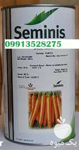 فروش بذر هویج در مشهد در گروه خرید و فروش بذر هویج در یکمیوه -عکس1