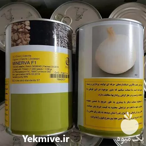 فروش بذر مینروا پربار در اهواز در گروه خرید و فروش انواع بذر در یکمیوه -عکس1
