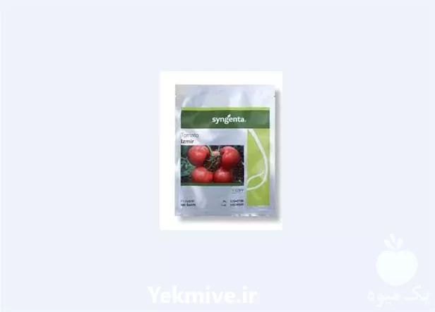فروش بذر گوجه فرنگی ازمیر در ارومیه در گروه خرید و فروش بذر گوجه در یکمیوه -عکس1