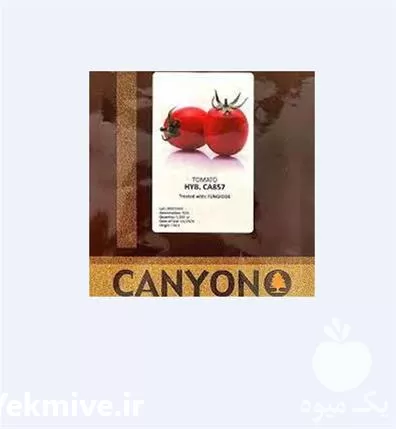 فروش بذر گوجه فرنگی 857 کانیون در ارومیه در گروه خرید و فروش بذر گوجه در یکمیوه -عکس1