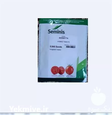 فروش بذر گوجه فرنگی برنتا در ارومیه در گروه خرید و فروش بذر گوجه در یکمیوه -عکس1