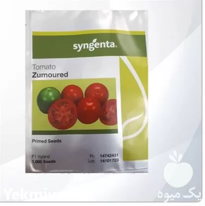 فروش بذر گوجه فرنگی زمرد در ارومیه در گروه خرید و فروش بذر گوجه در یکمیوه -عکس1
