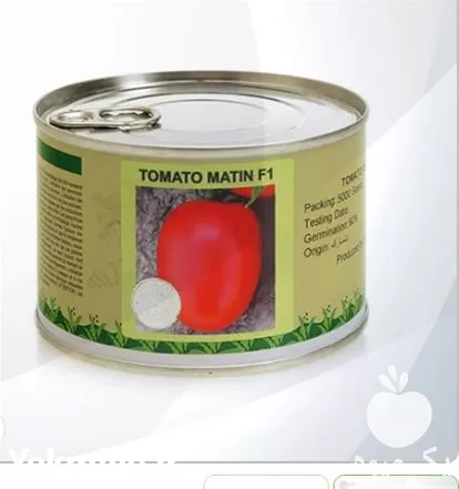 قیمت خرید بذر گوجه فرنگی متین در ارومیه در گروه خرید و فروش بذر گوجه در یکمیوه -عکس1