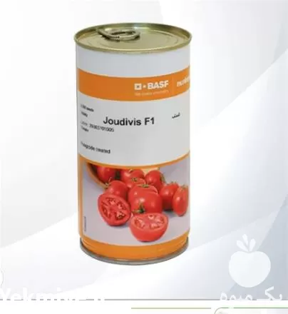 قیمت خرید بذر گوجه فرنگی جودیویس در ارومیه در گروه خرید و فروش بذر گوجه در یکمیوه -عکس1