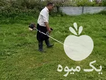 علف تراشی و سمپاشی در محمودآباد در گروه خدمات باغبانی در یکمیوه -عکس1