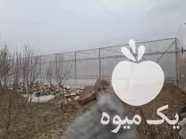 احداث گلخانه در گروه سازنده در یکمیوه -عکس1