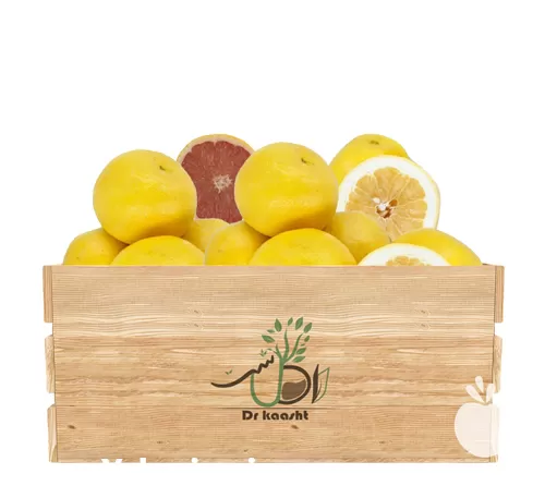 خرید عمده نهال گریپ فروت در تبریز در گروه خرید و فروش نهال میوه در یکمیوه -عکس1
