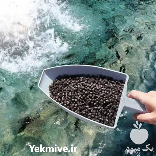 خرید خوراک ماهی قزل الا کپور در گروه خوراک شیلات و آبزیان در یکمیوه -عکس1