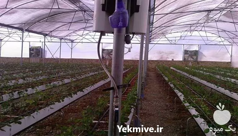 فروش قیمت سازه گلخانه در اصفهان در گروه خرید و فروش سوله و سازه گلخانه در یکمیوه -عکس1