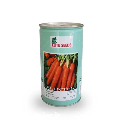 فروش قیمت بذر هویج الیت سیدز در یزد در گروه خرید و فروش بذر هویج در یکمیوه -عکس1