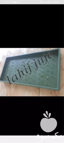 پخش باکس و سینی نشا برنج در گروه خرید و فروش نشا در یکمیوه -عکس1