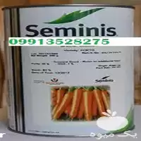 فروش بذر هویج در مشهد در گروه خرید و فروش بذر هویج در یکمیوه