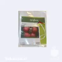 قیمت خرید بذر گوجه فرنگی 4129 در ارومیه در گروه خرید و فروش بذر گوجه در یکمیوه