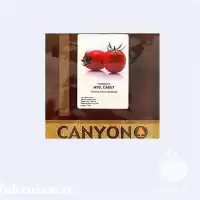 فروش بذر گوجه فرنگی 857 کانیون در ارومیه در گروه خرید و فروش بذر گوجه در یکمیوه