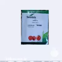 فروش بذر گوجه فرنگی برنتا در ارومیه در گروه خرید و فروش بذر گوجه در یکمیوه