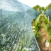 فروش توری سایبان گلخانه در ساری در گروه خرید و فروش توری گلخانه در یکمیوه