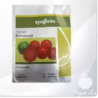 فروش بذر گوجه فرنگی زمرد در ارومیه در گروه خرید و فروش بذر گوجه در یکمیوه