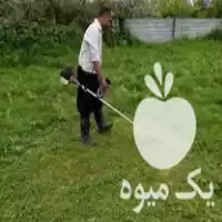 علف تراشی و سمپاشی در محمودآباد در گروه خدمات باغبانی در یکمیوه