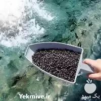 خرید خوراک ماهی قزل الا کپور در گروه خوراک شیلات و آبزیان در یکمیوه