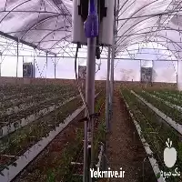 فروش قیمت سازه گلخانه در اصفهان در گروه خرید و فروش سوله و سازه گلخانه در یکمیوه