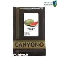 بذر هندوانه کانیون Canyon قالبی بلوکی در شیراز در گروه خرید و فروش بذر هندوانه در یکمیوه