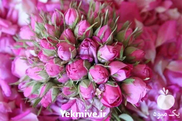 خرید پخش عمده غنچه گل محمدی در اصفهان در گروه خرید و فروش گیاهان دارویی در یکمیوه -عکس1