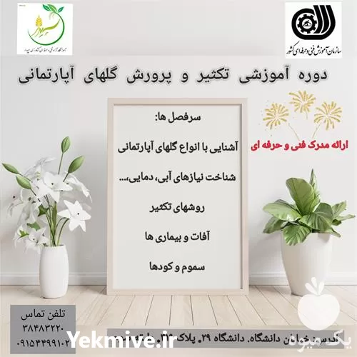قیمت خرید آموزش تکثیر پرورش گل در مشهد در گروه دوره آموزش کشاورزی در یکمیوه -عکس1