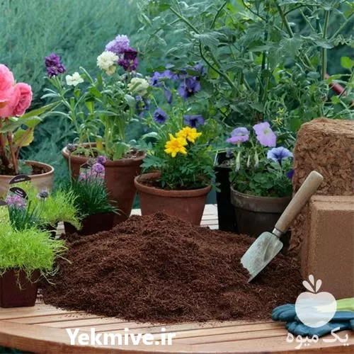 فروش خاک مخصوص روف گاردن گلدان در مشهد در گروه انواع محصولات خاک و تغذیه در یکمیوه -عکس1