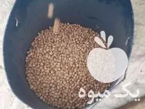فروش کلی نخود در بهشهر در گروه خرید و فروش غلات و حبوبات در یکمیوه -عکس1
