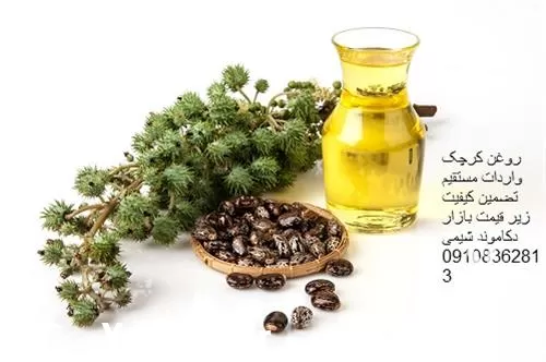 فروش روغن کرچک در تهران در گروه خرید و فروش انواع روغن در یکمیوه -عکس1