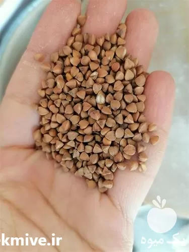 قیمت خرید گندم سیاه عمده در تهران در گروه خرید و فروش گندم و جو در یکمیوه -عکس1