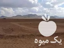 فروش ورق ژئوممبران استخری همراه در شیراز در گروه خرید و فروش ژئوممبران و ژئوتکستایل در یکمیوه -عکس1