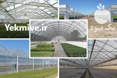 ساخت و نصب گلخانه مهرگان در کرج در گروه خرید و فروش سوله و سازه گلخانه در یکمیوه -عکس2