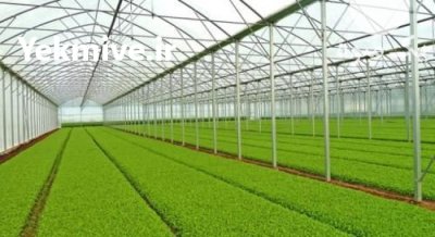 نصب و راه اندازی گلخانه در چهارباغ در گروه خرید و فروش سوله و سازه گلخانه در یکمیوه -عکس2