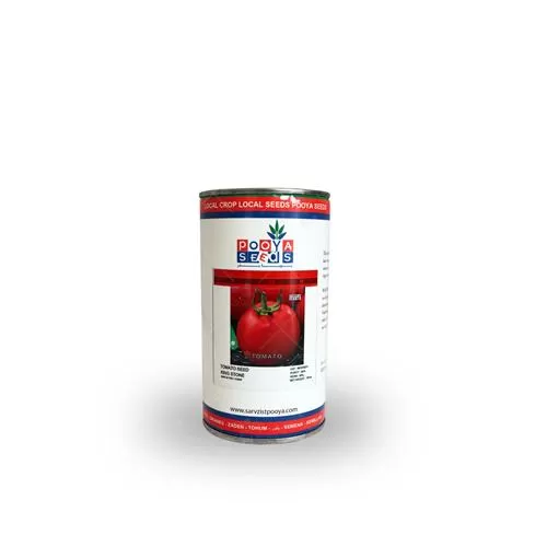 قیمت خرید بذر گوجه فرنگی کینگ در هرمز در گروه خرید و فروش بذر گوجه در یکمیوه -عکس1