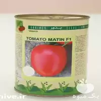 فروش بذر گوجه متین در کرج در گروه خرید و فروش بذر گوجه در یکمیوه