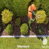 خدمات باغبانی در جردن در گروه خدمات باغبانی در یکمیوه