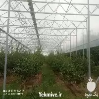 سازه گلخانه ای مشاوره در ساری در گروه سازنده در یکمیوه