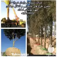 جابجایی قطع هرس درختان دارای مجوز در شیراز در گروه هرس کاری در یکمیوه